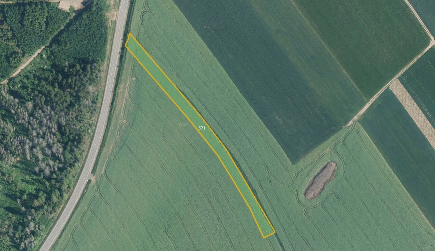 Zemědělské pozemky, Křoví