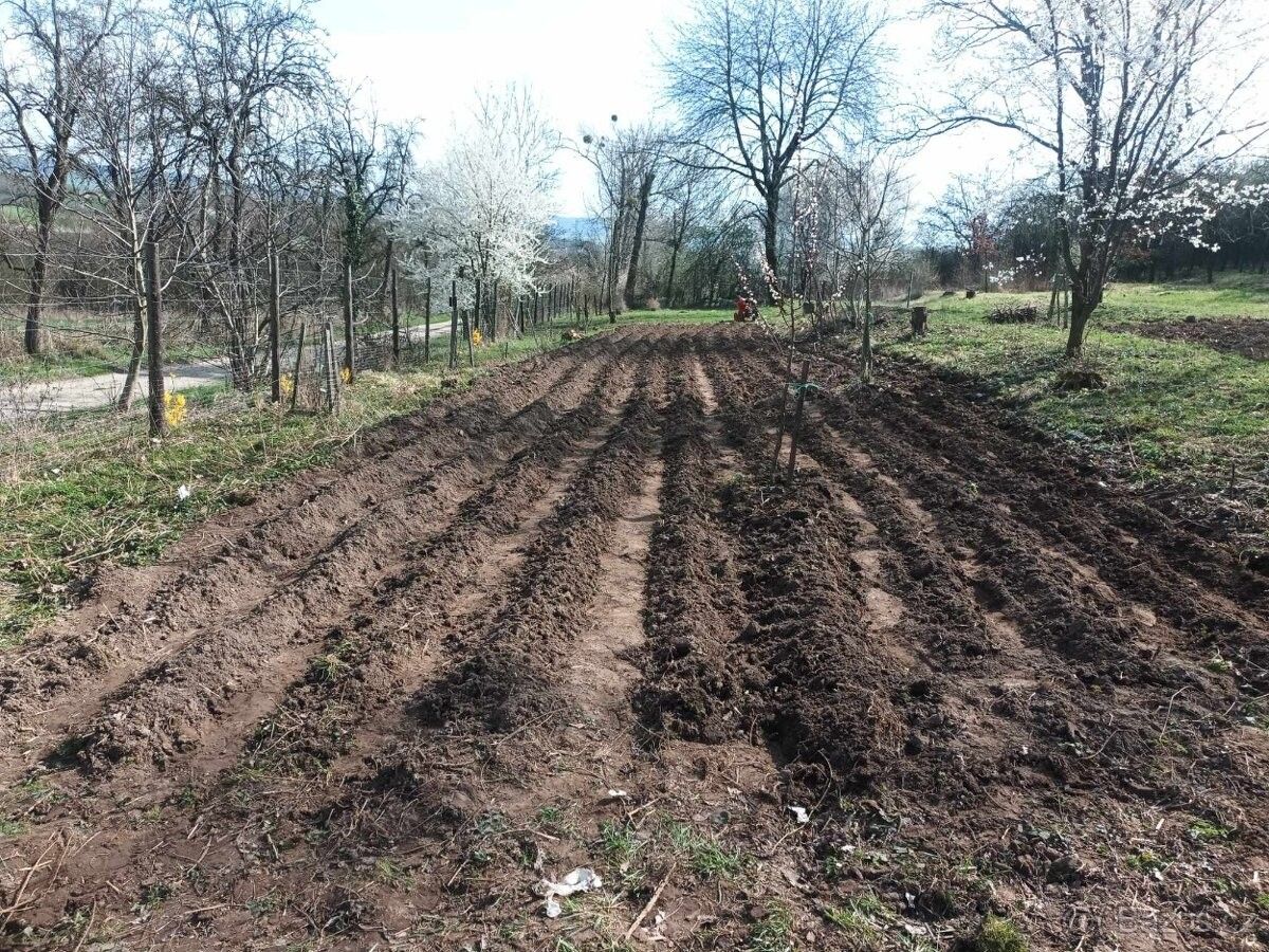 Zahrady, Čáslav, 286 01