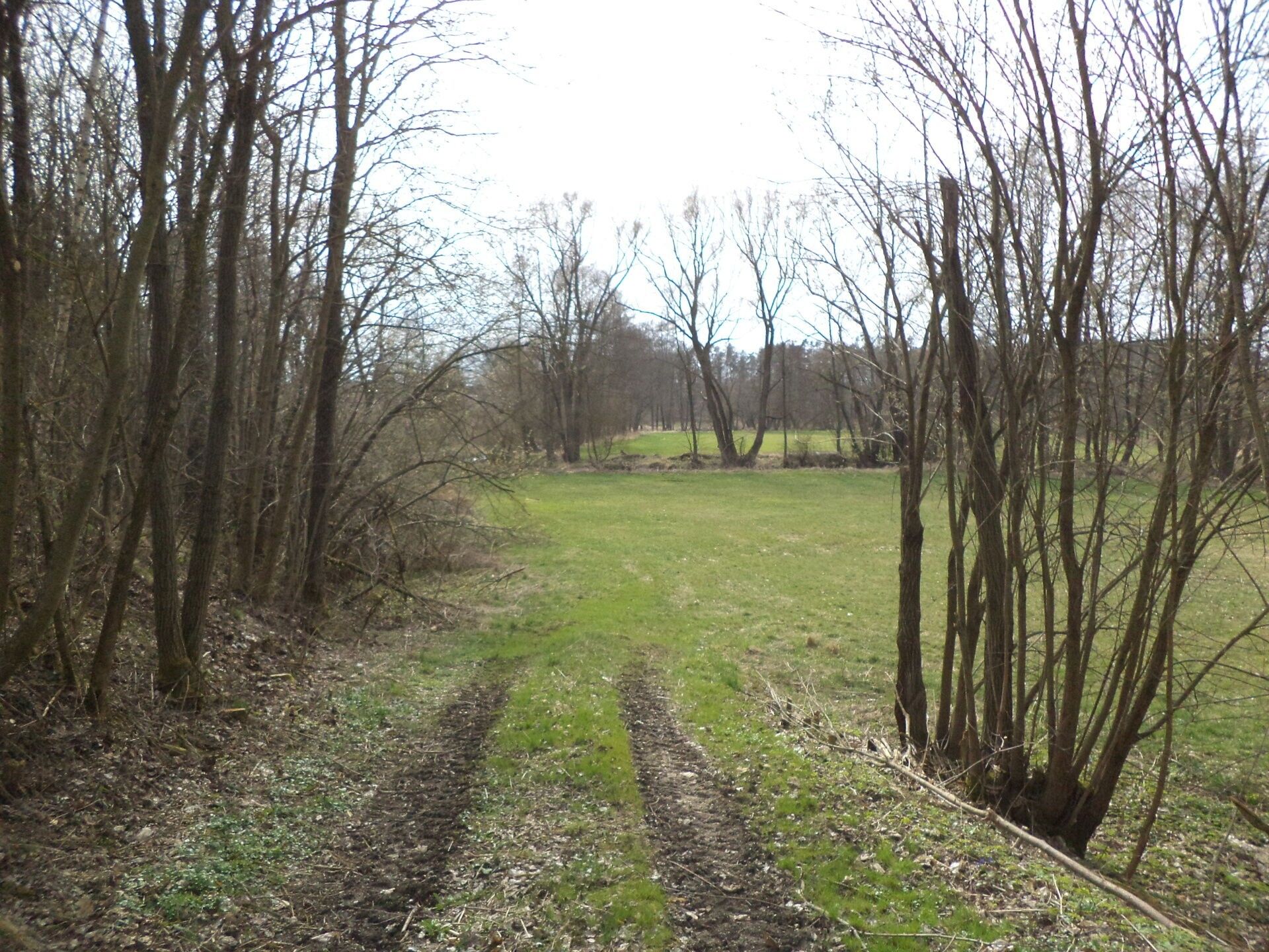 Prodej zemědělský pozemek - Slaviboř, Černíč, 3 516 m²