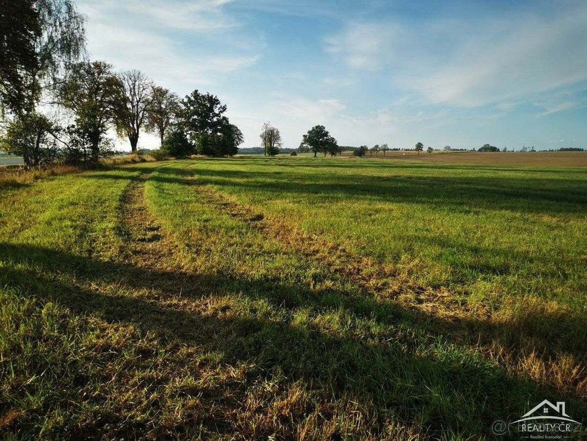 Prodej zemědělský pozemek - Dobronín, 588 12