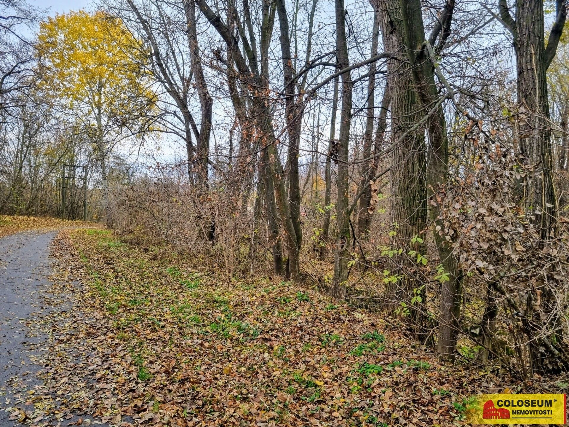 Prodej pozemek pro bydlení - Čechyně, Rousínov