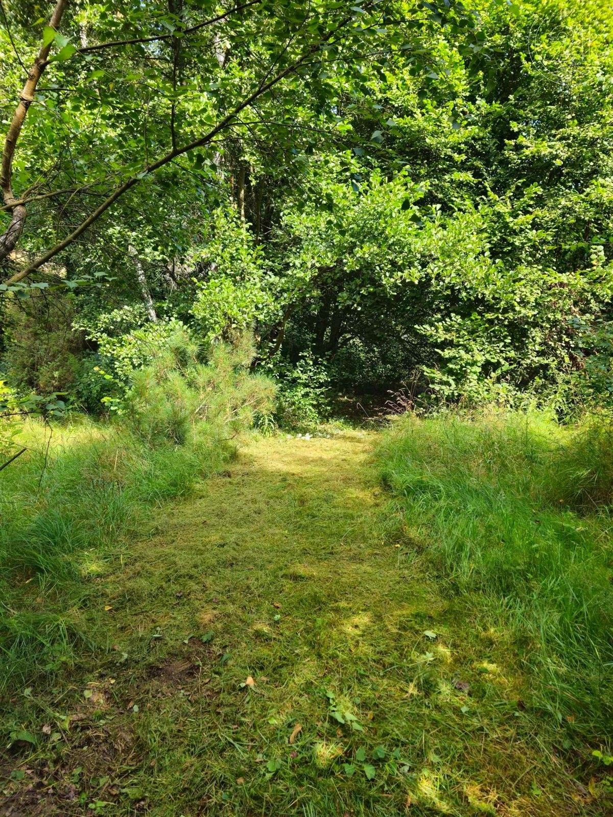 Pozemky pro bydlení, Senohraby