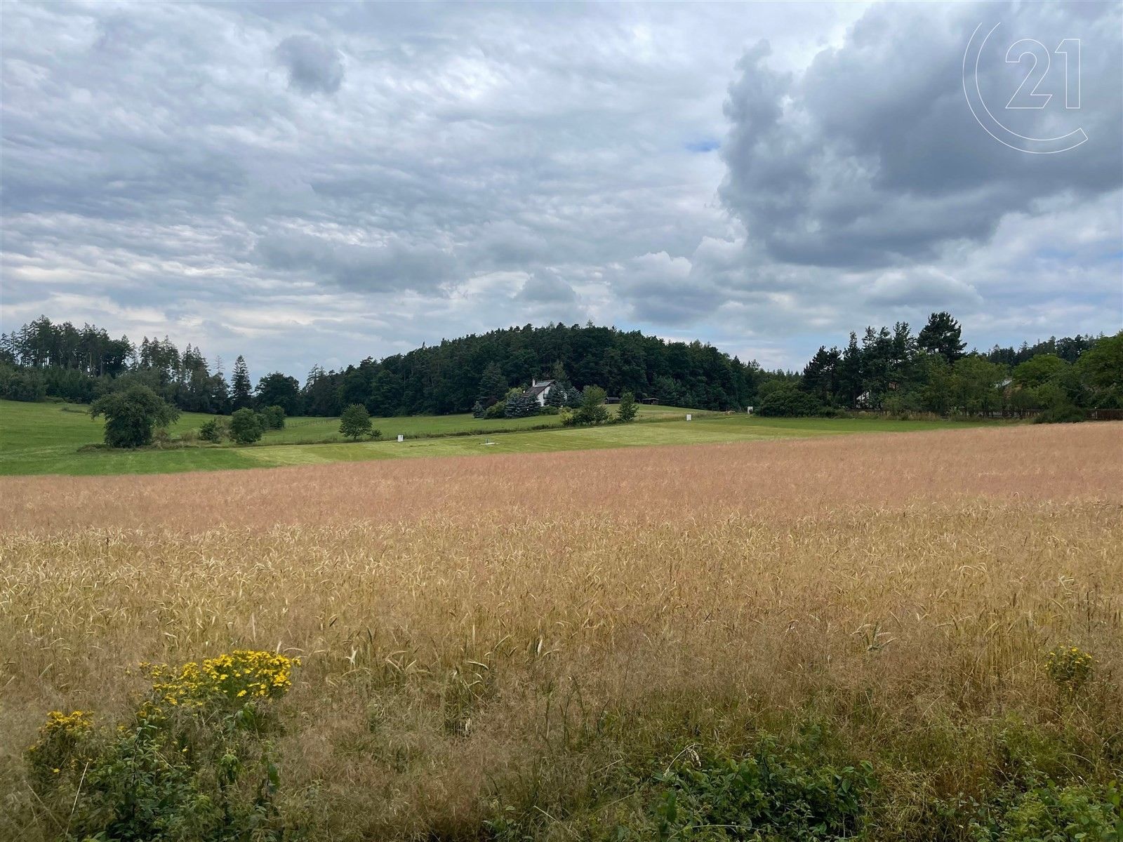 Prodej pozemek - Bezdědovice, 1 m²