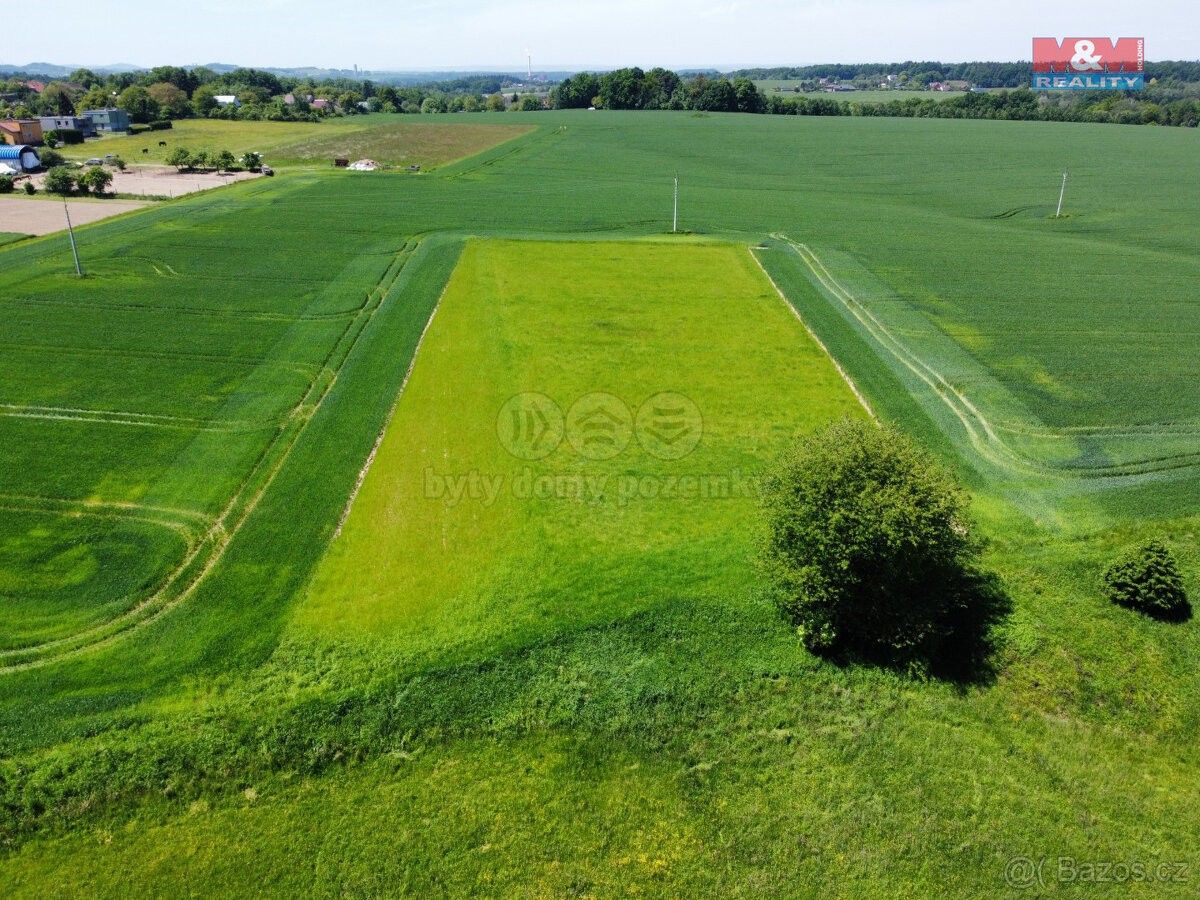 Prodej zemědělský pozemek - Sedliště, 739 36, 5 585 m²