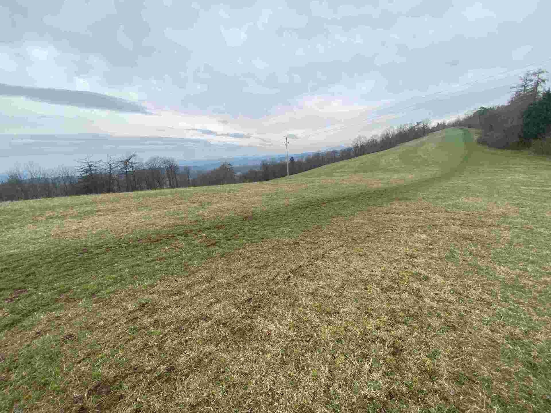 Prodej zemědělský pozemek - Mírová pod Kozákovem, 22 m²