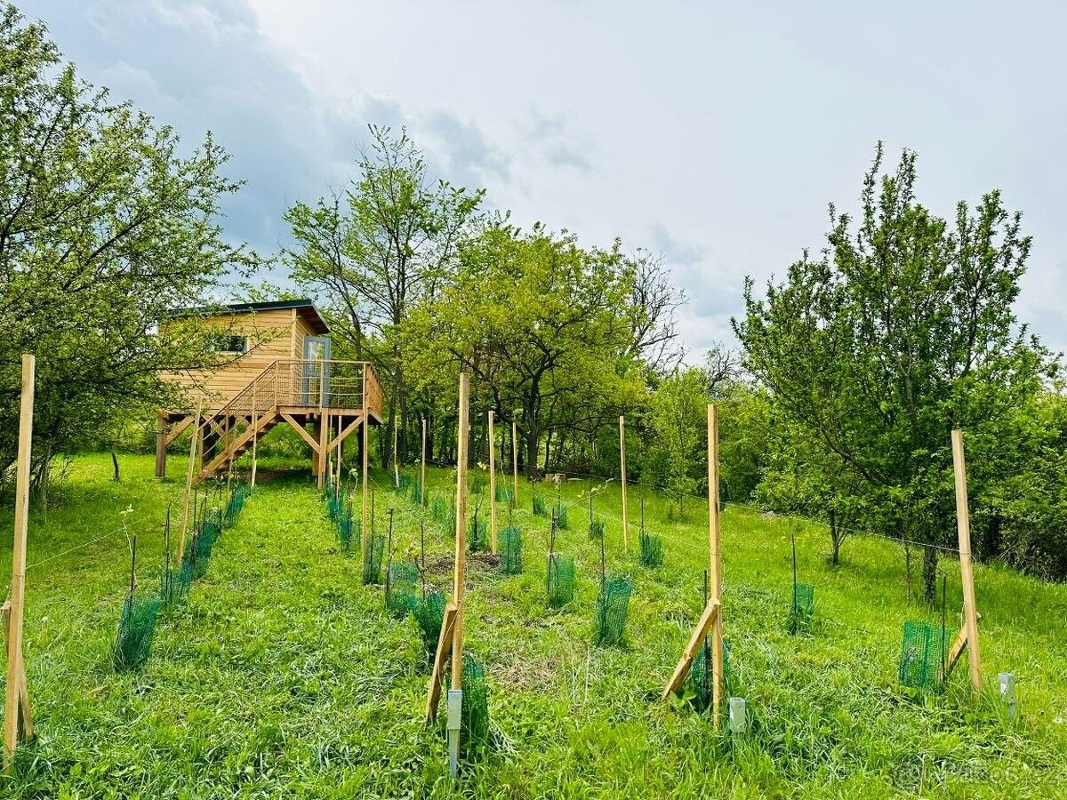 Chaty, Blučina, 664 56