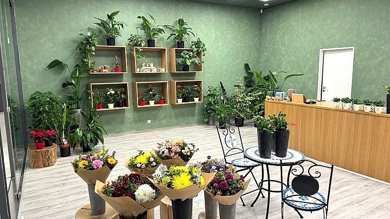 Obchodní prostory, Brno, 602 00