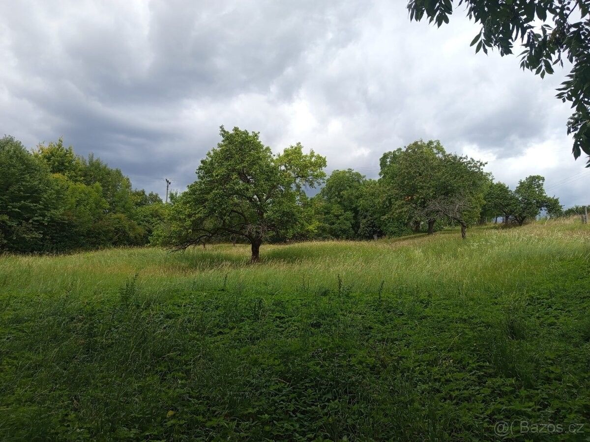 Pozemky pro bydlení, Třebívlice, 411 15