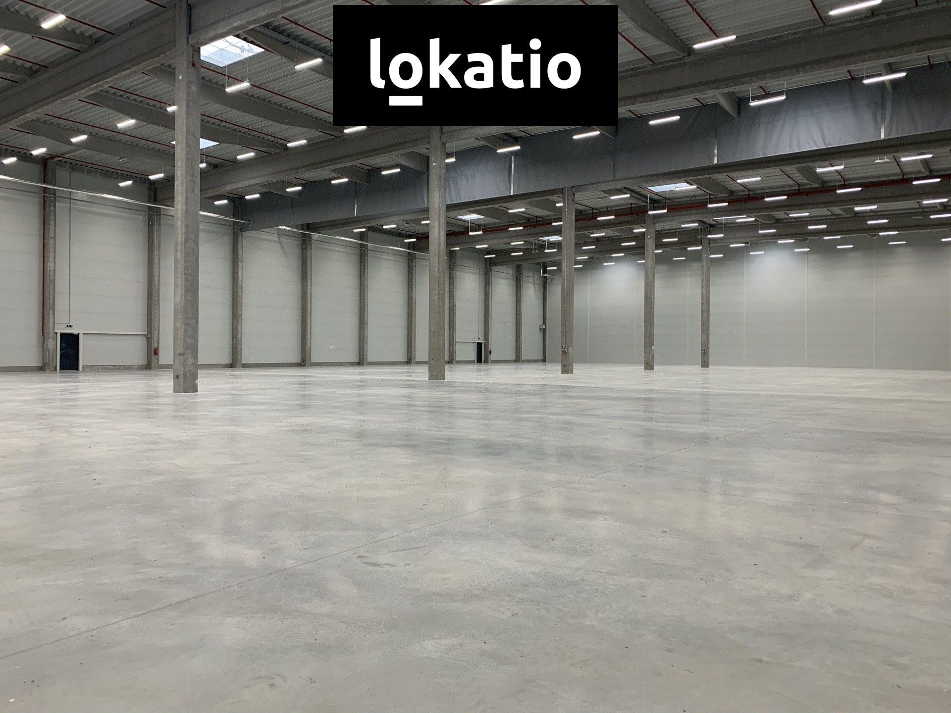 Pronájem sklad - Vejprnice, 7 000 m²