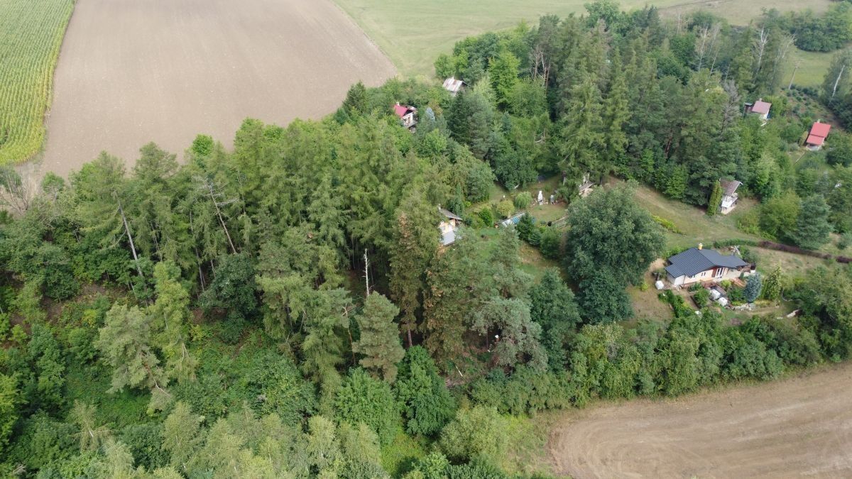 Pozemky pro bydlení, Skuteč, 1 m²