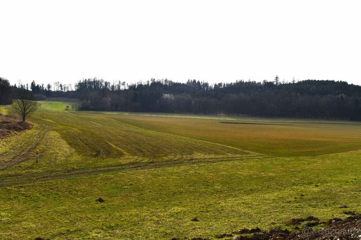 Prodej pozemek pro bydlení - Chvalkovice v Čechách, 552 04, 6 536 m²