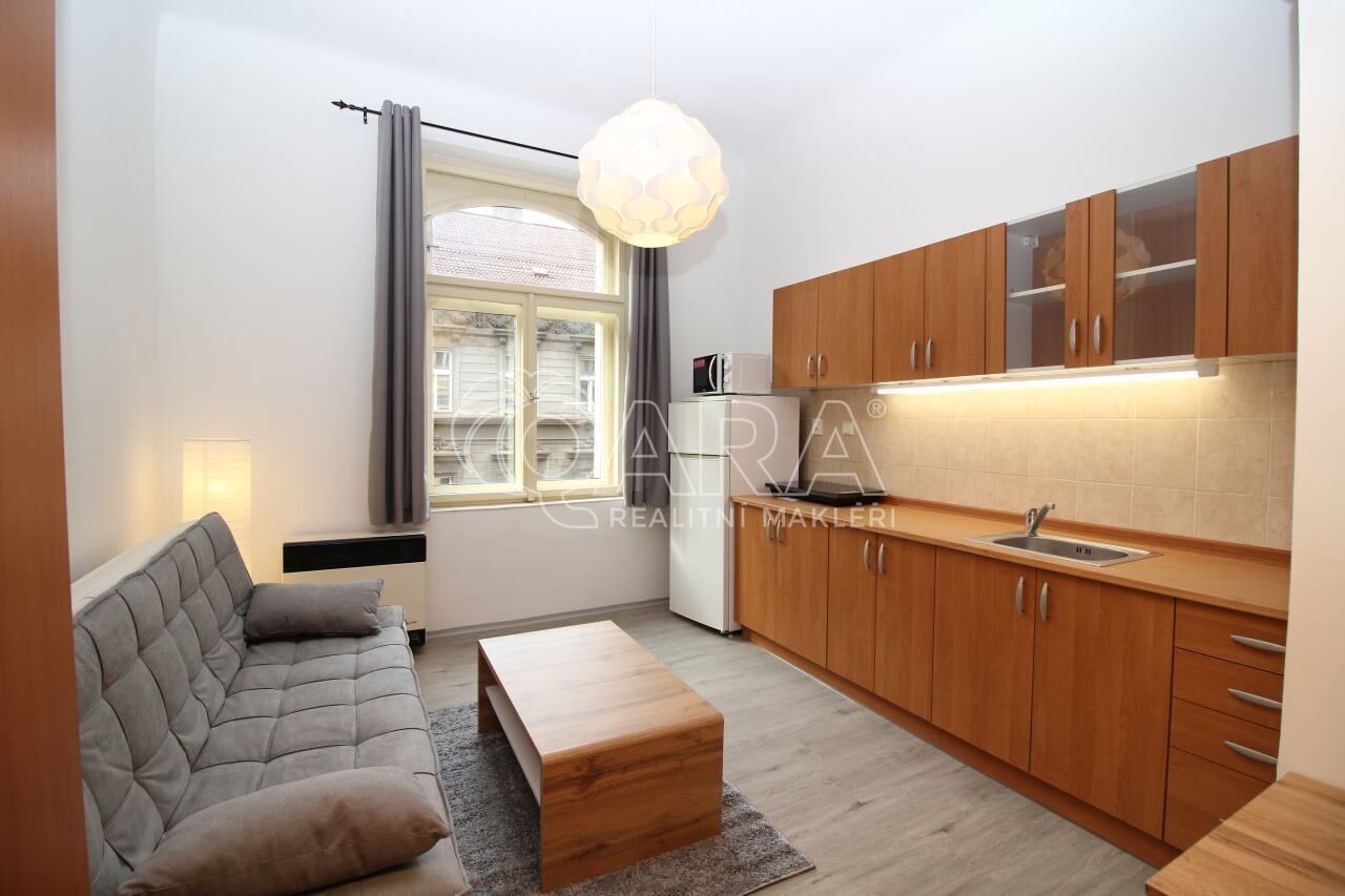 1+kk, Lidická, Praha, 24 m²