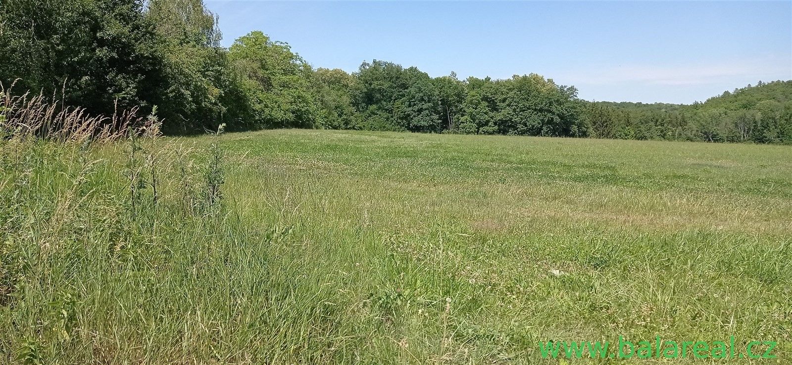 Prodej zemědělský pozemek - Kobylnice