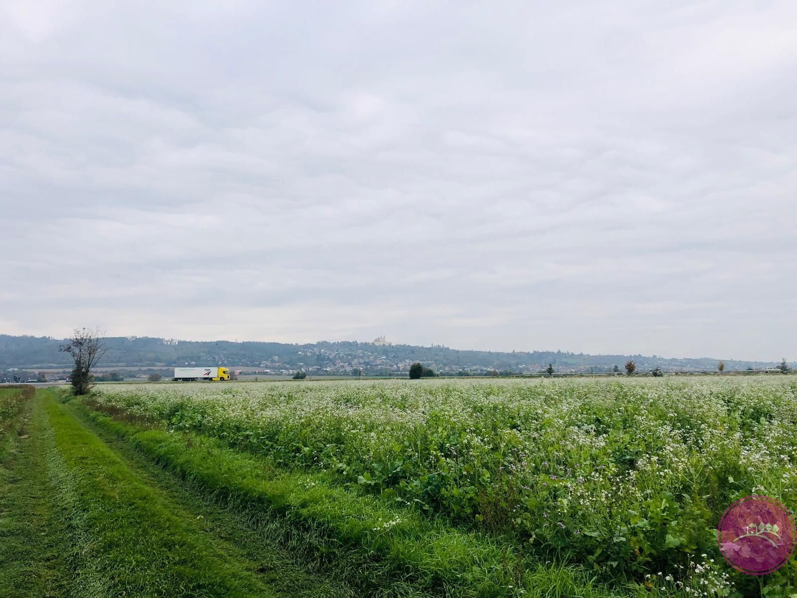 Zemědělské pozemky, Týneček, Olomouc, 21 568 m²