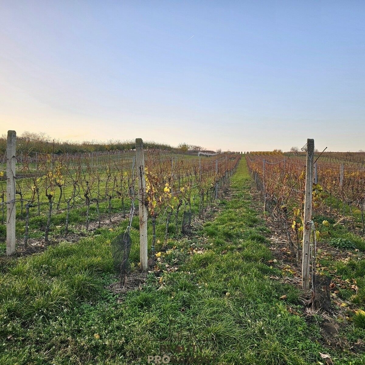 Pozemky pro bydlení, Starý Poddvorov, 696 16