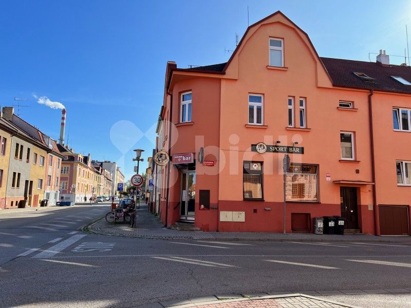 Obchodní prostory, Dukelská, České Budějovice, 75 m²