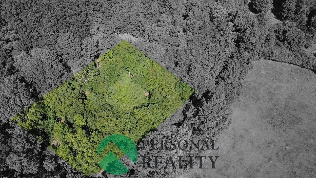 Prodej pozemek - Čeřeniště, Malečov