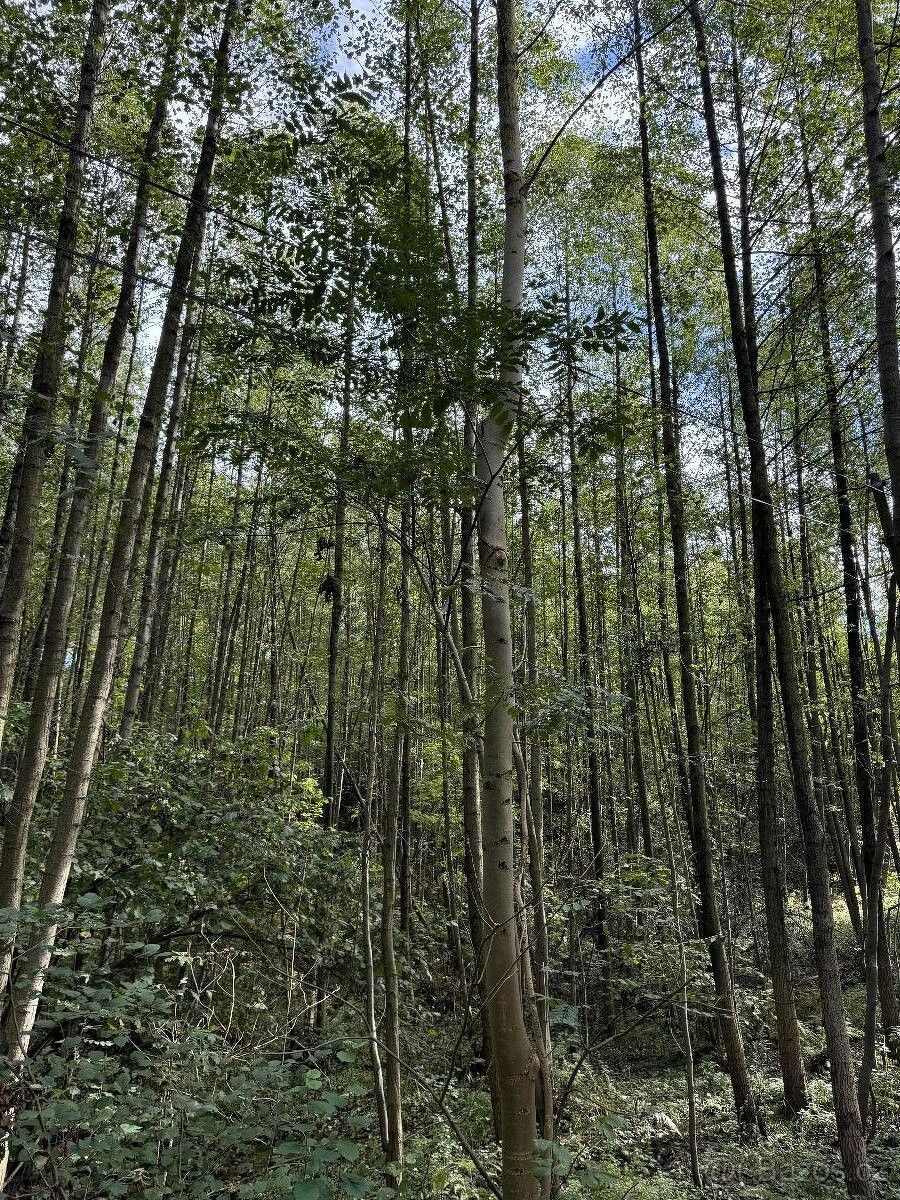 Pozemky pro bydlení, Bohumín, 735 81