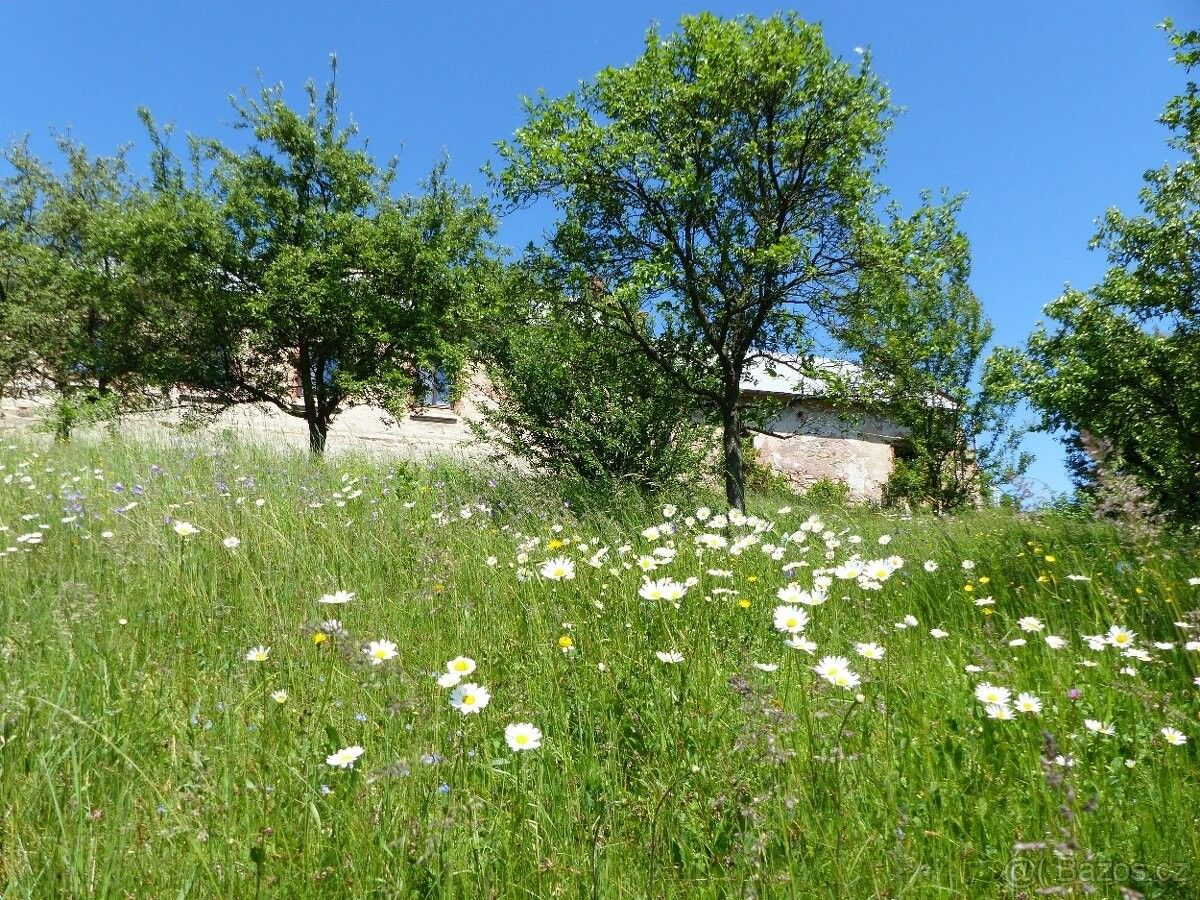 Ostatní, Lanškroun, 563 01, 300 m²