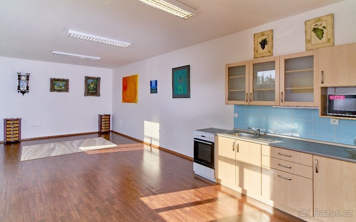 1+kk, Dolní Dobrouč, 561 02, 42 m²