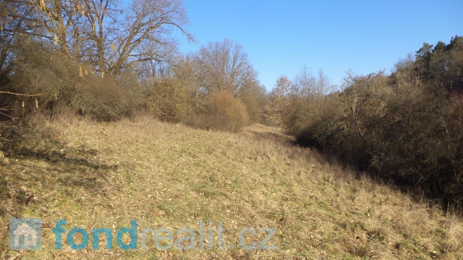 Prodej zemědělský pozemek - Snědovice, 19 591 m²