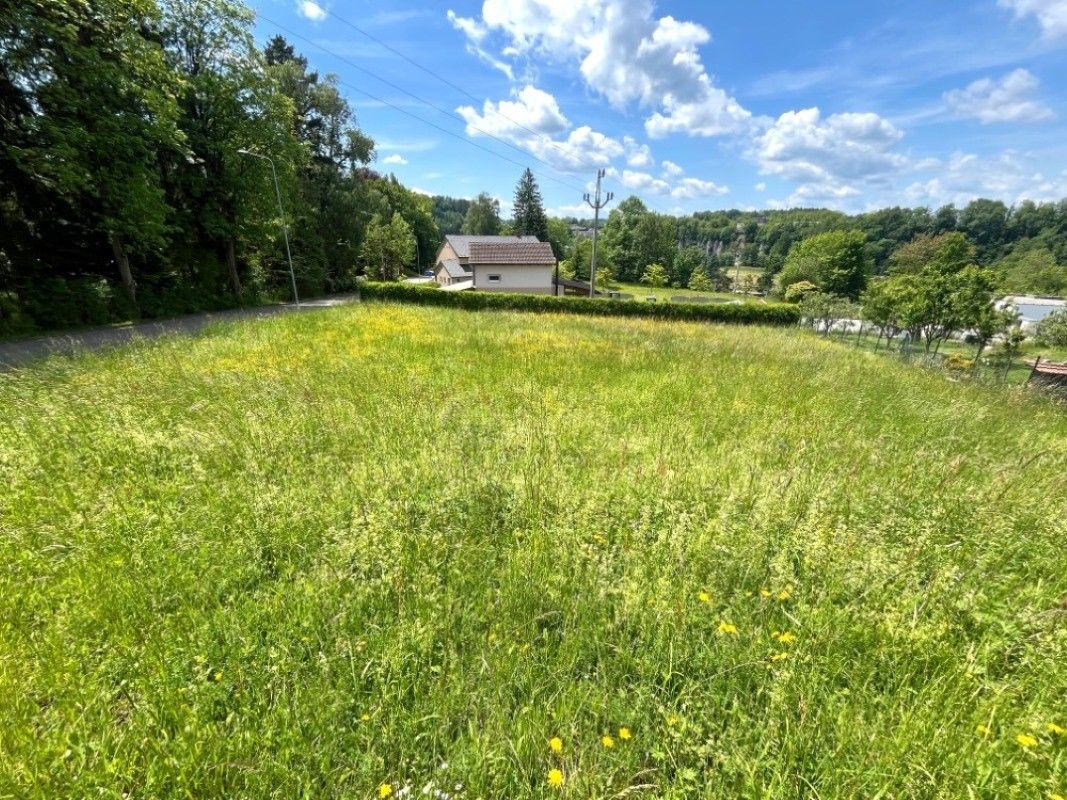 Pozemky pro bydlení, Žamberk, 904 m²