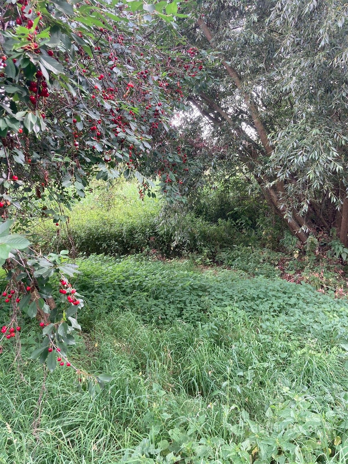 Ostatní, Staňkovice