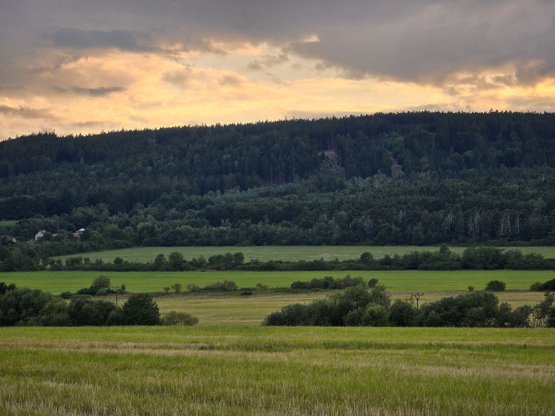 Zemědělské pozemky, Hostomice, 8 385 m²