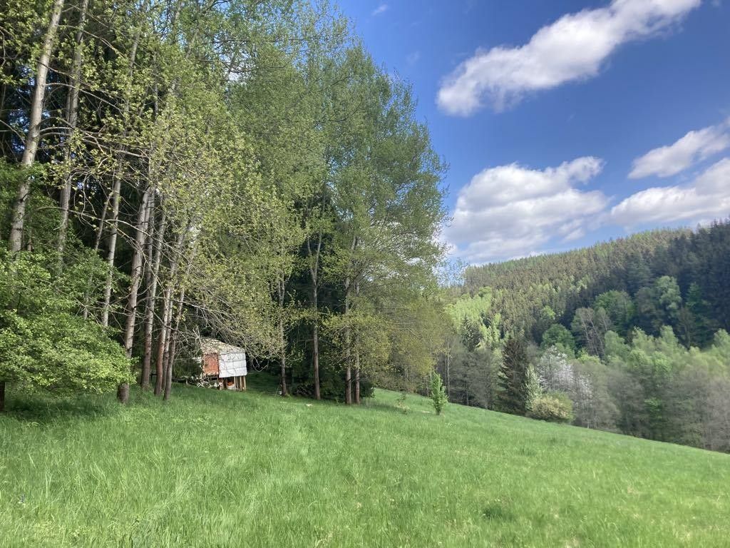 Prodej louka - Prostřední Staré Buky, Staré Buky