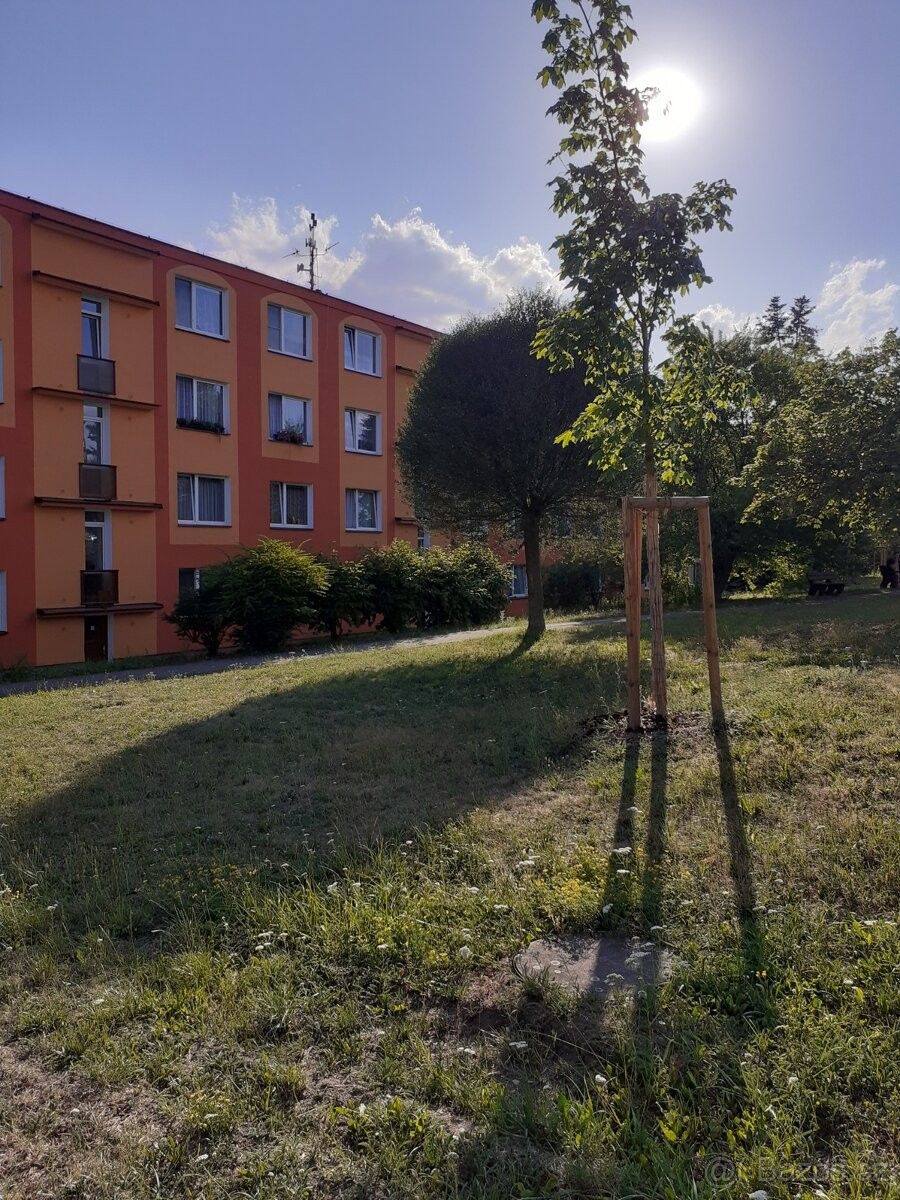 2+1, Františkovy Lázně, 351 01, 62 m²