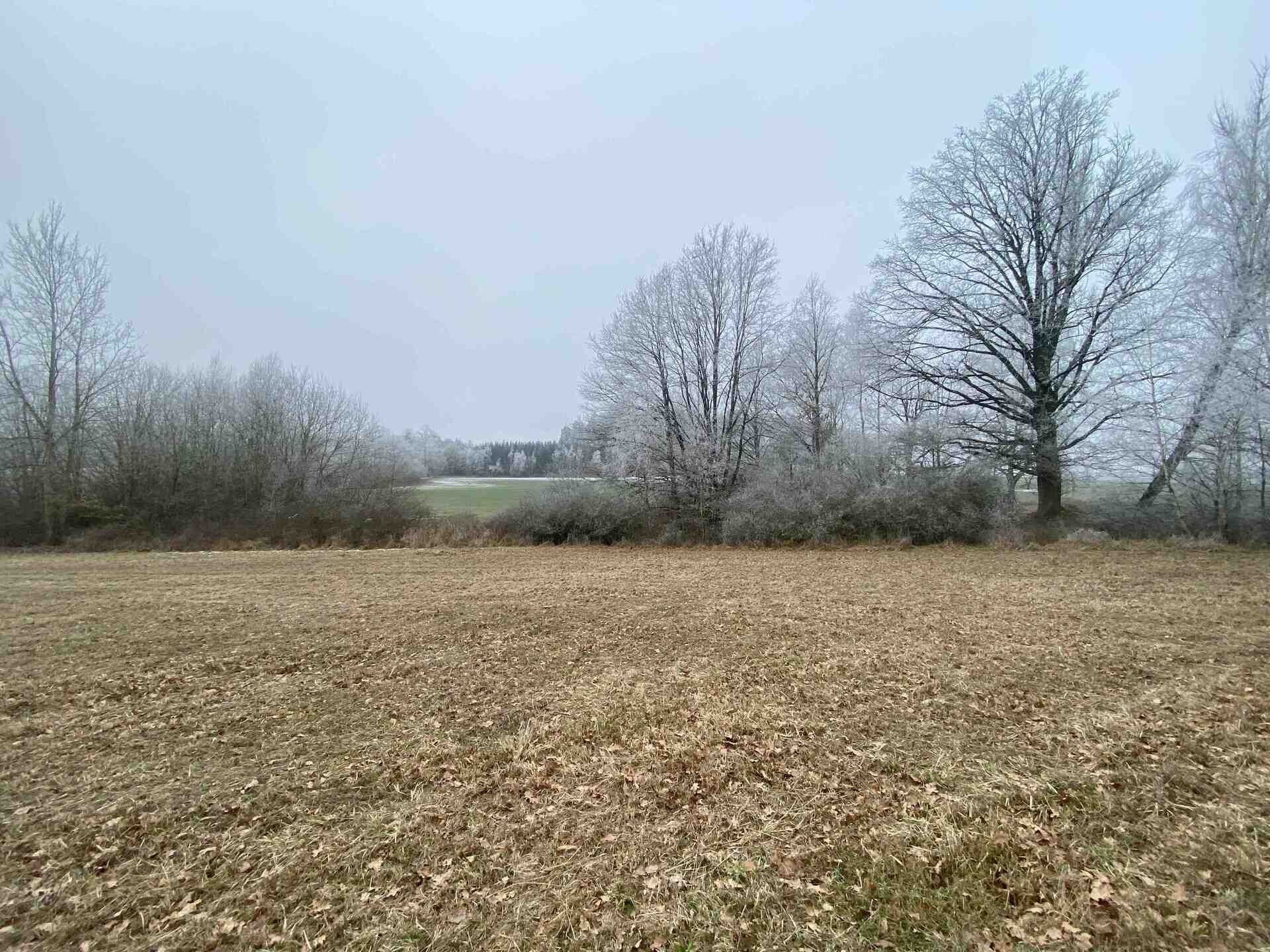 Ostatní, Slatina, 1 m²