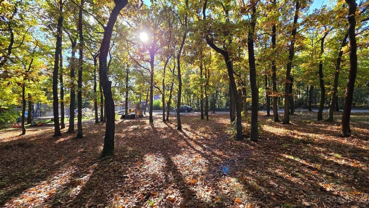 Pozemky pro bydlení, Zvole u Prahy, 252 45