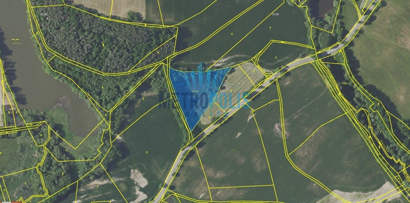 Prodej rybník - Braštice, Vrchotovy Janovice, 9 405 m²