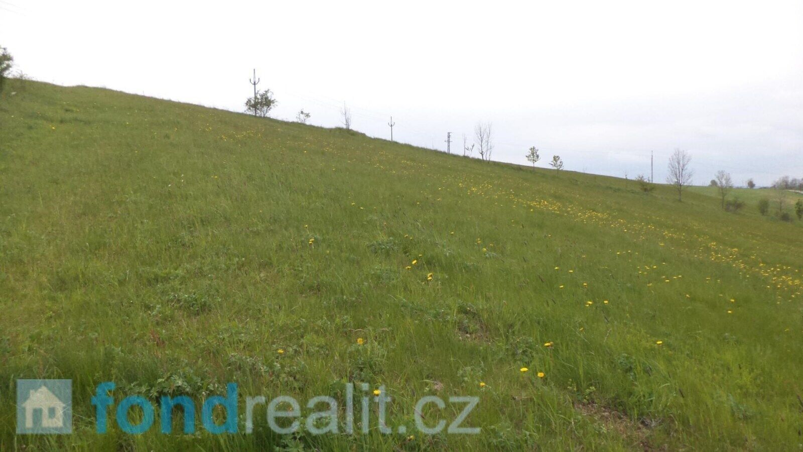 Prodej pozemek - Koclířov, 4 m²