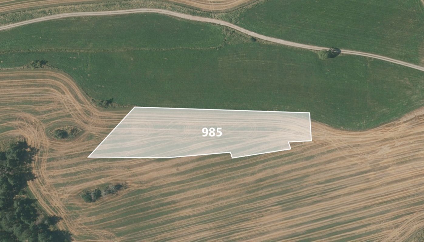 Prodej zemědělský pozemek - Ves, Drhovle, 9 770 m²