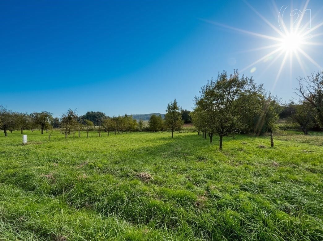 Pozemky pro bydlení, Soběsuky