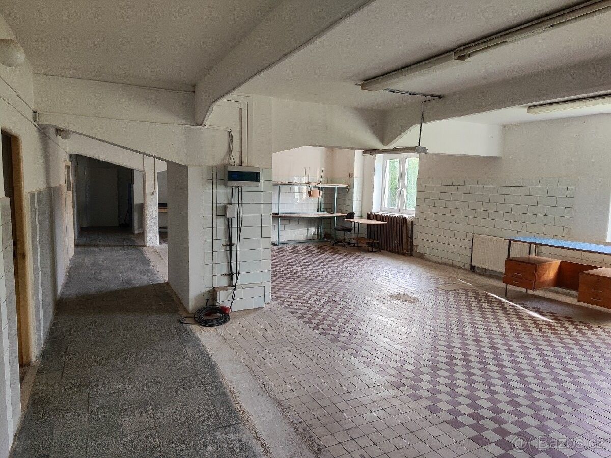 Pronájem sklad - Chodov u Karlových Var, 357 35, 194 m²