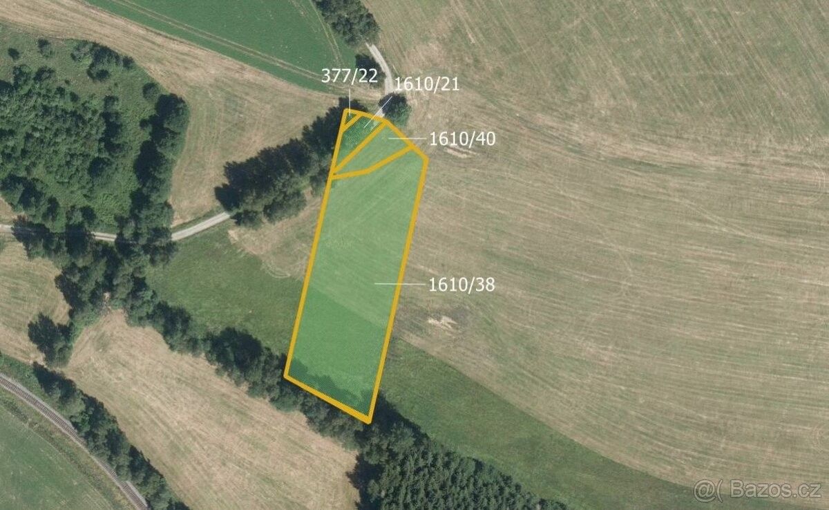 Prodej zemědělský pozemek - Borová u Poličky, 569 82, 13 901 m²