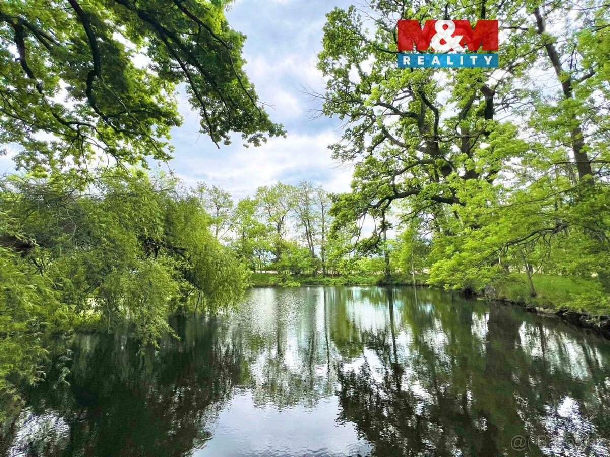 Pozemky pro bydlení, Žulová, 790 65