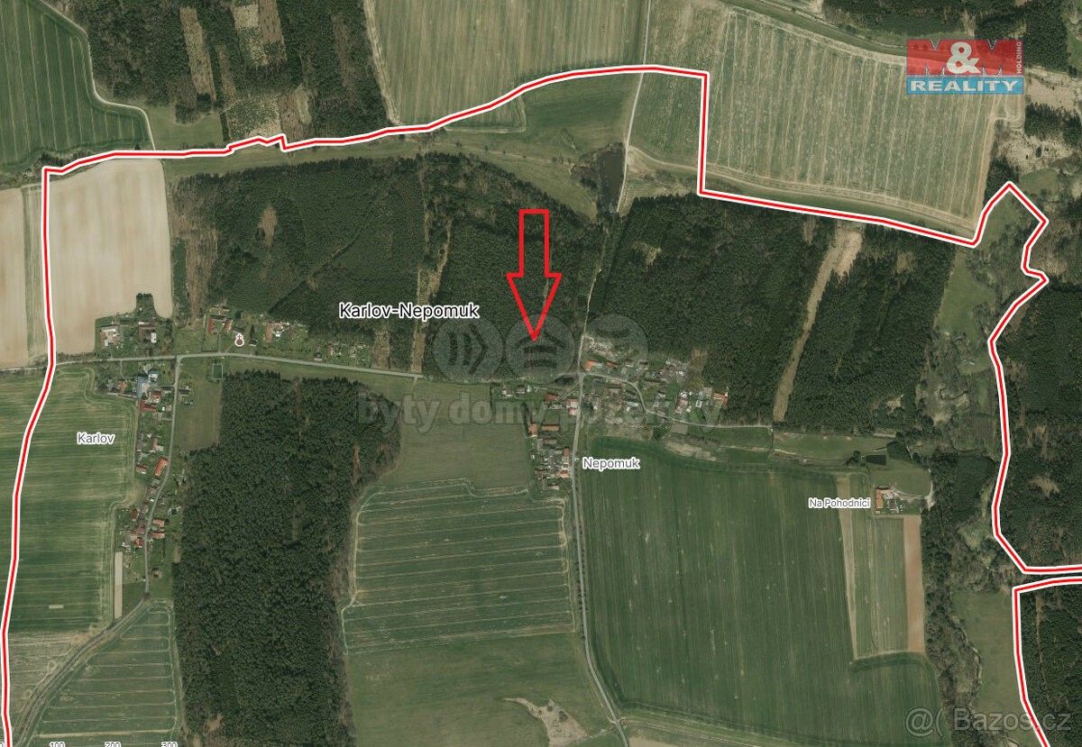 Prodej les - Týn nad Vltavou, 375 01, 2 085 m²