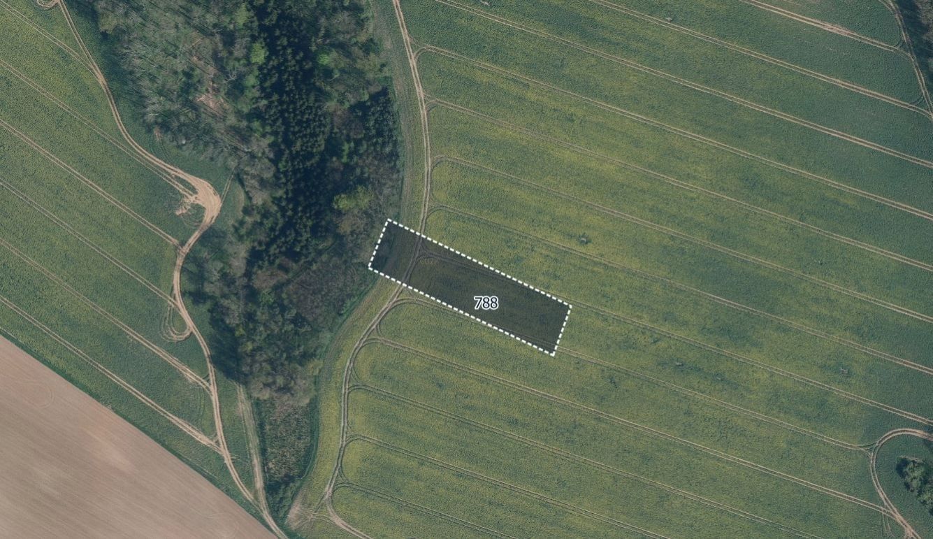 Prodej zemědělský pozemek - Mělnické Vtelno