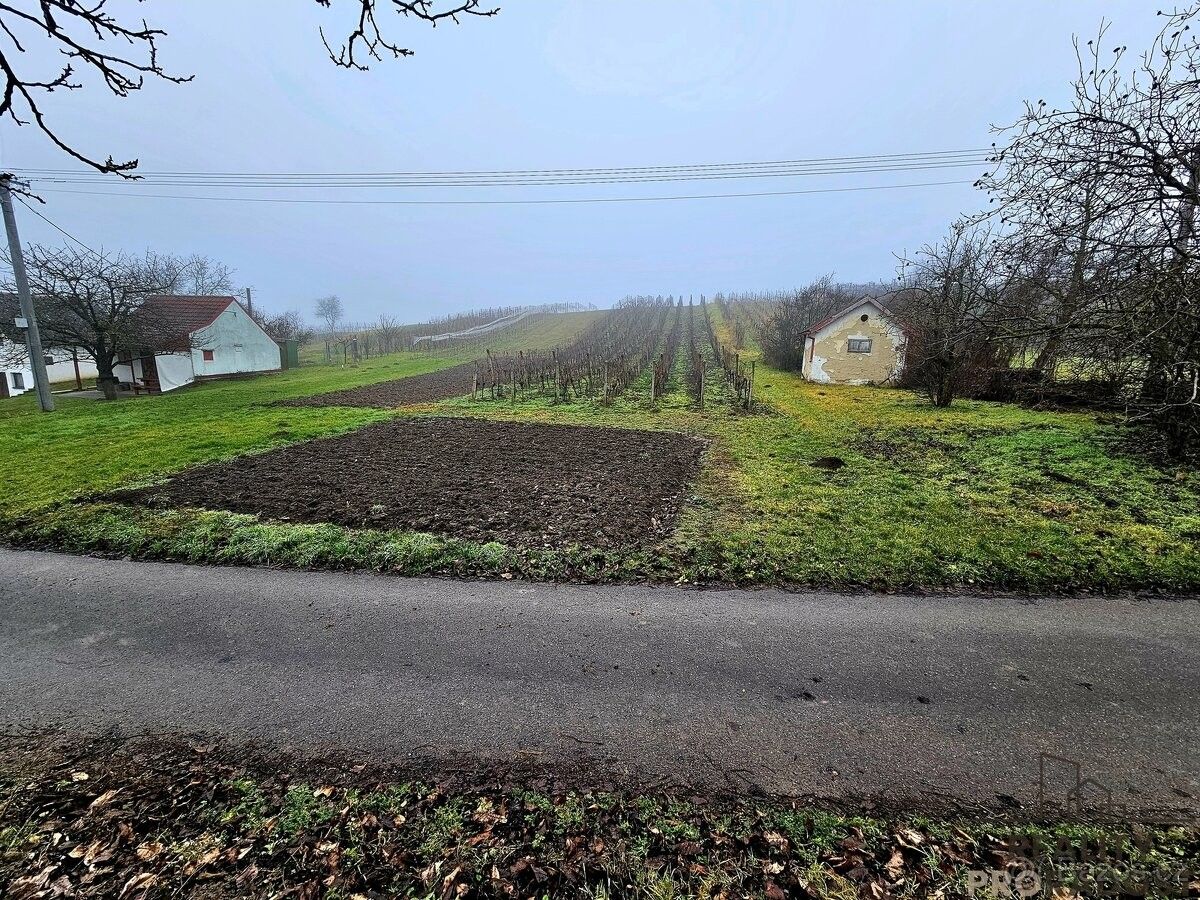 Pozemky pro bydlení, Čejč, 696 14