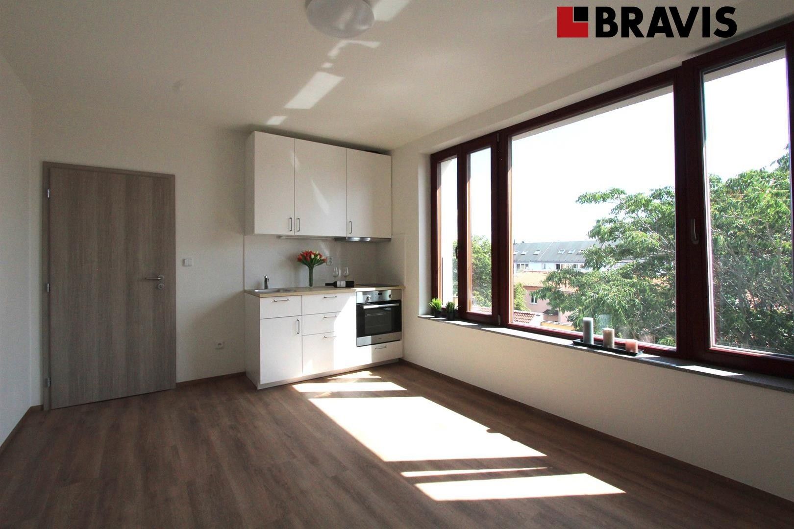 1+kk, Francouzská, Brno, 22 m²