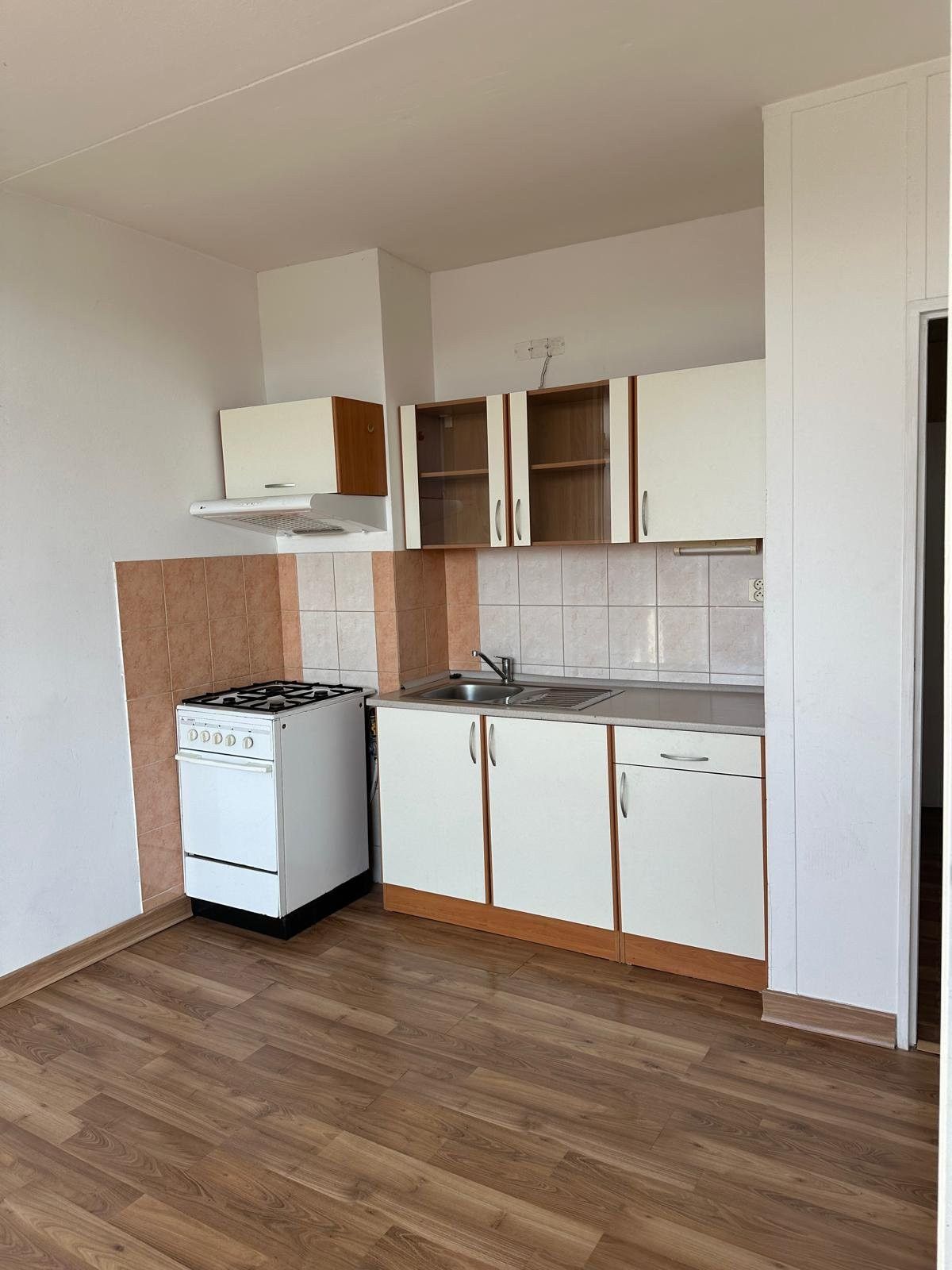 1+1, Sídliště Za Chlumem, Bílina, 54 m²