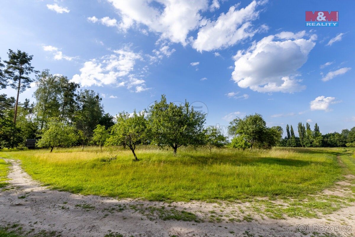 Prodej zemědělský pozemek - Přelouč, 535 01, 5 219 m²