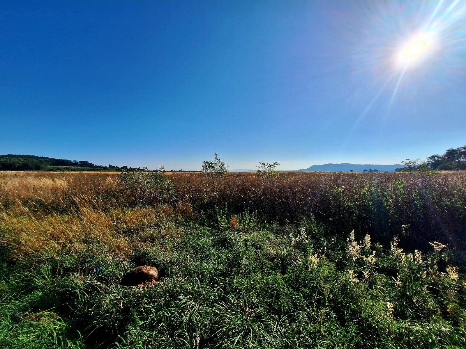 Prodej zemědělský pozemek - Sychrov, Mnichovo Hradiště, 140 145 m²