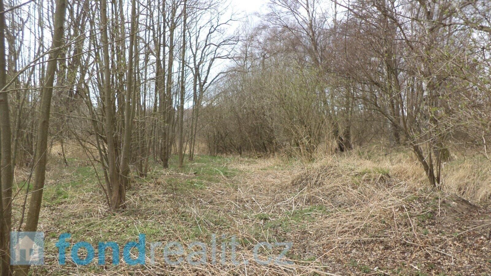 Prodej pozemek - Lutová, Chlum u Třeboně, 19 035 m²