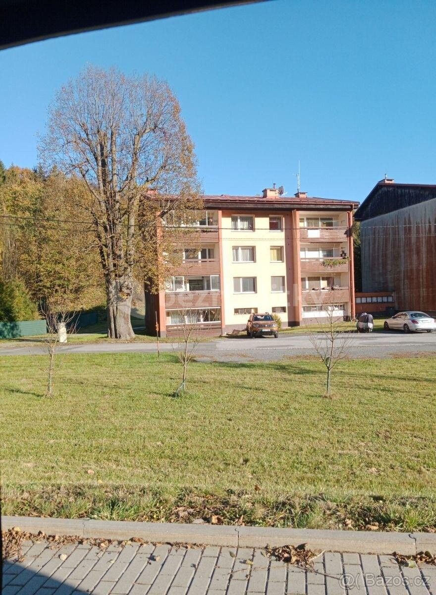 Prodej byt 3+kk - Malá Morávka, 793 36, 69 m²