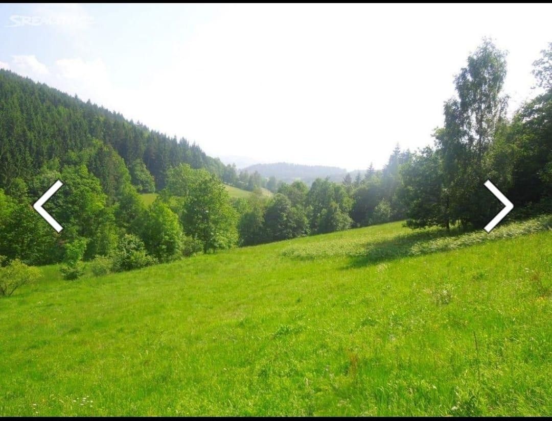 Prodej zemědělský pozemek - Zubří, 756 54, 2 234 m²