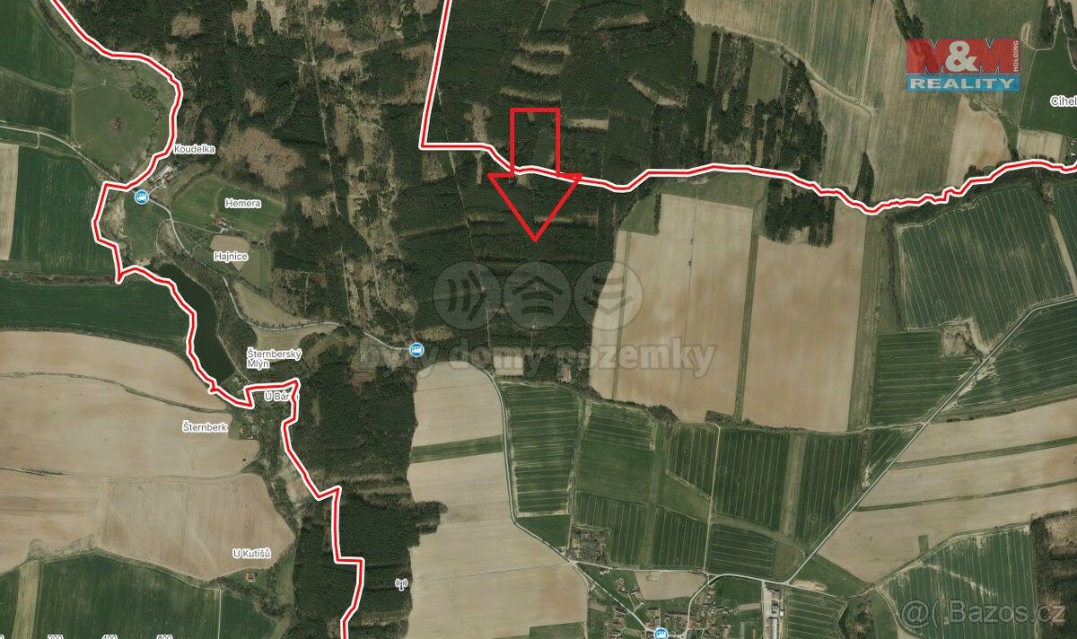 Prodej les - Týn nad Vltavou, 375 01, 4 751 m²